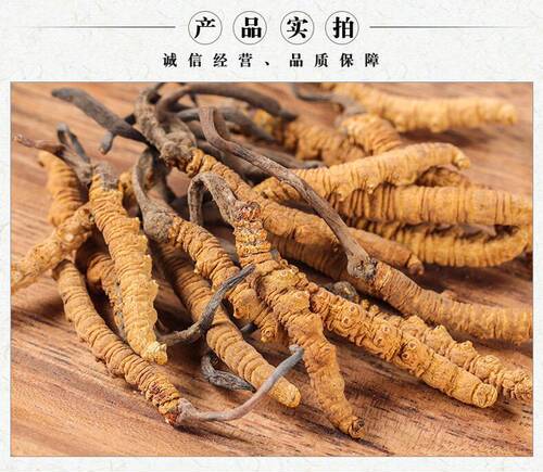 虫草特价冬虫夏草正品新鲜正宗虫草可搭配礼盒 - 图2