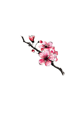 neeio原创纹身贴 唯美梅花 古风彩色水墨花朵性感锁骨 防水持久女