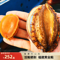 Fujian Dongshan Island Balfish Dry Special Class Big Pot Soup Gold Bali Gift Box 30 Head 50 Head Seafood Dry Goods Shunfeng