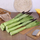 PU simulated lettuce feels soft and has exquisite craftsmanship