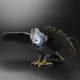 Simulated owl model plastic children's toy props