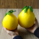 Simulated foam grapefruit model ornaments and decorative props