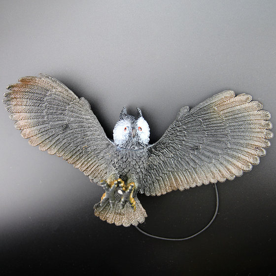Simulated owl model plastic children's toy props
