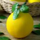Simulated foam grapefruit model ornaments and decorative props