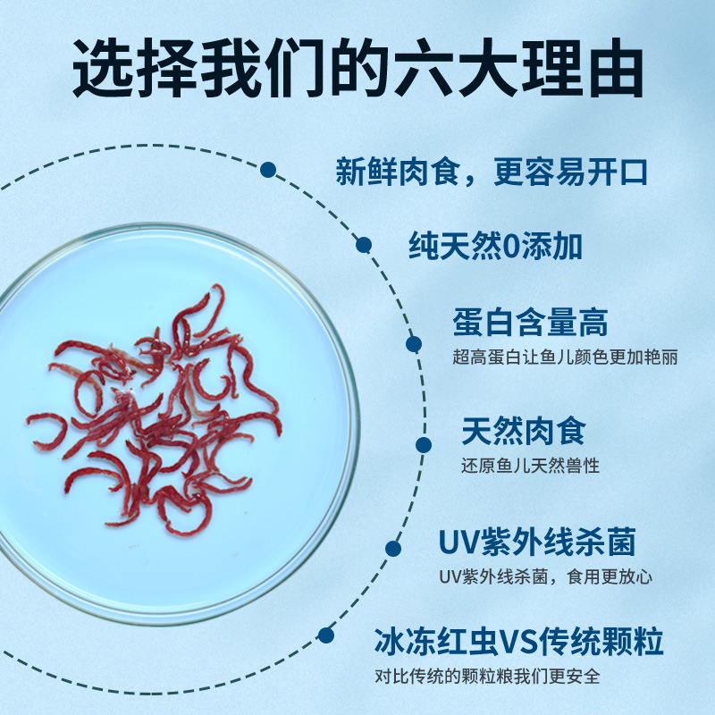 yee红虫冰冻鱼粮牛心汉堡赤红线虫水蚤丰年虾罗汉食七彩神仙饲料-图1