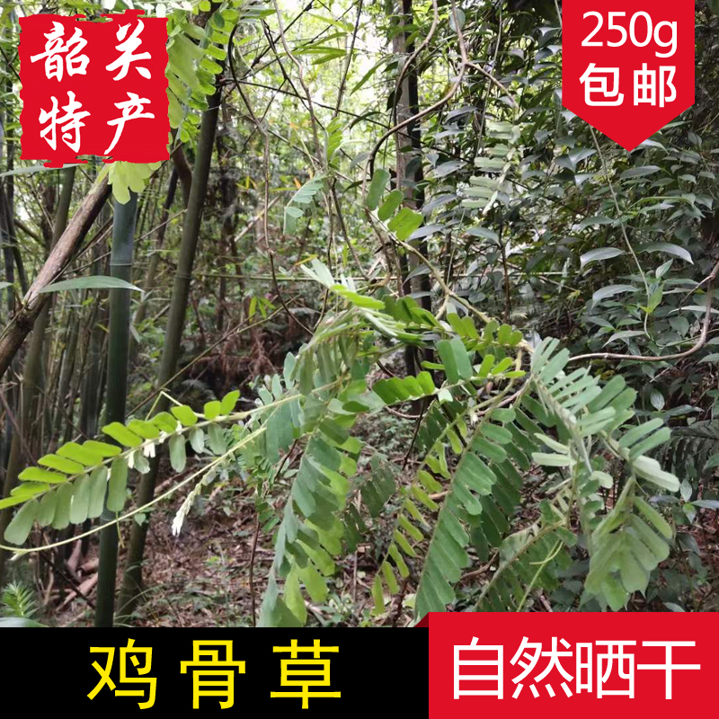 【鸡骨草250g】韶关特产野生大黄草无硫全草煲汤料相思藤叶干货-图1