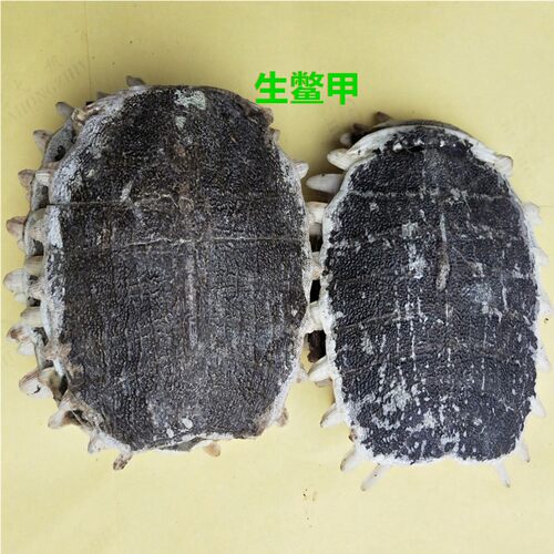 鳖甲中药材 生鳖甲鳖壳 鳖上甲500克75元包邮 需要磨鳖甲粉请留言 - 图2