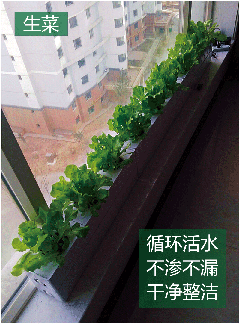 无土栽培黄瓜水培蔬菜家庭室内阳台种菜神器智能箱自动管道式设备