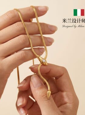 米兰【设计师】新款灵蛇锆石项链女锁骨链蛇骨银色颈链复古时尚
