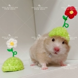 [Дом Торт Вейхуа] Цветочная шляпа, Золотой шелковый медвежь