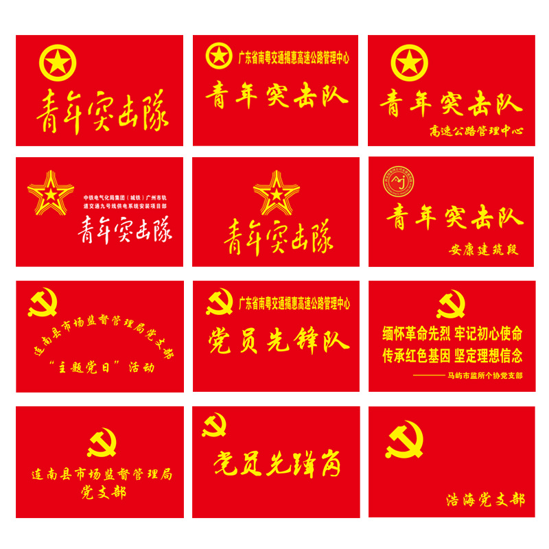 党员先锋队旗帜定制定做志愿者旗子带杆突击队党员党支部队旗定制公益服务队旗义工团旗红旗少先队巾帼旗 - 图1