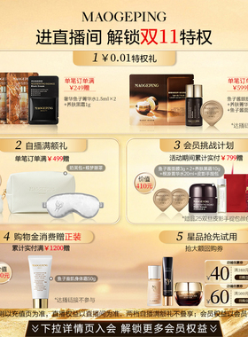毛戈平便携粉底刷人造纤维化妆刷