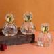 French women's long-lasting eau de toilette authentic official brand