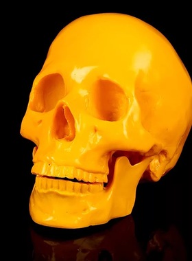 5色半手工骷髅头骨趣味道具摆件