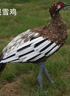 仿真红腹锦鸡摆件田园装饰