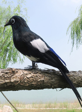 仿真喜鹊羽毛摆件园艺道具装饰