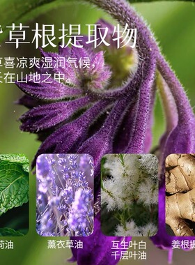 云朵艾杨紫草膏植物配方柔和亲肤肌感清爽滋  润保湿易携带