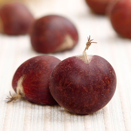 2025 Qianxi Raw Chestnut Fresh Farmhouse Jin Jin is equal to 0.5 kg