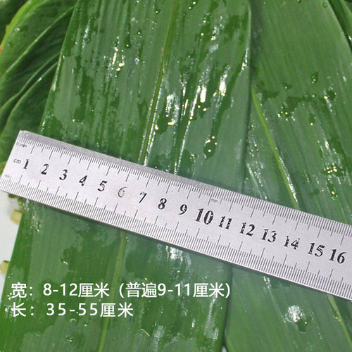 粽叶新鲜免邮现摘宽大纯天然无添加非真空包粽子叶子麻竹叶200张 - 图2