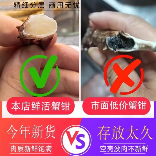 蟹脚钳冷冻蟹腿梭子蟹脚螃蟹腿梭子蟹钳螃蟹脚梭子蟹腿蟹钳生鲜 - 图0