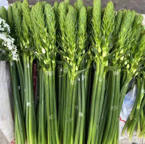 白色圣心百合鲜花鲜切水养雀梅室内水培装饰客厅插花摆台云南直发 - 图0