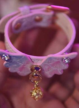 套装项圈蟒蛇琼师闪光可刻字可爱