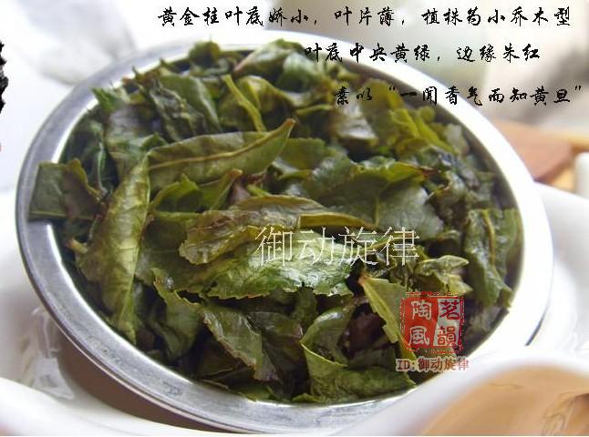 黄金桂浓香型 安溪乌龙茶  茗韵陶风醇香桂花香原生态高山茶特级