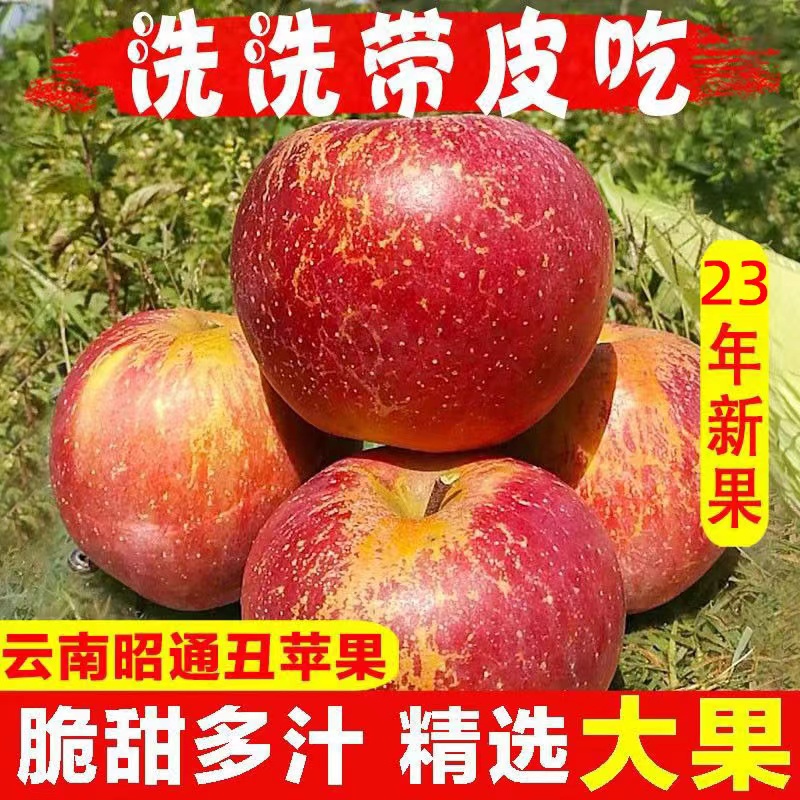 云南昭通丑苹果10斤正宗冰糖心脆甜苹果当季新鲜现摘水果整箱包邮 - 图1