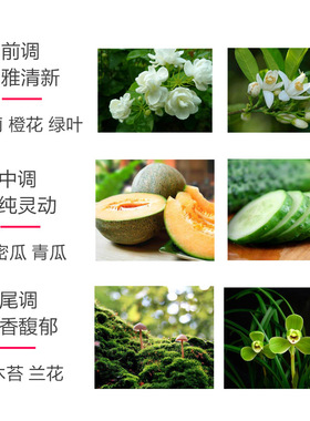 花果香哈密瓜山中四月送试香