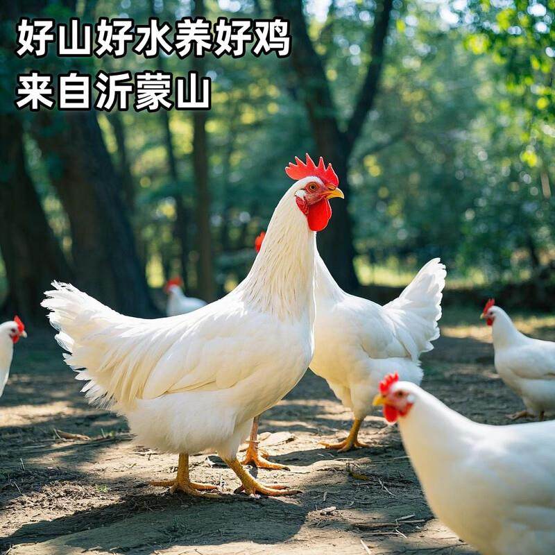 味当家狗猫零食鸡脖冻干狗猫咪磨牙棒200g桶成幼猫咪鸡脖子风干宠,淘宝优惠券,粉丝福利购,淘宝优惠卷