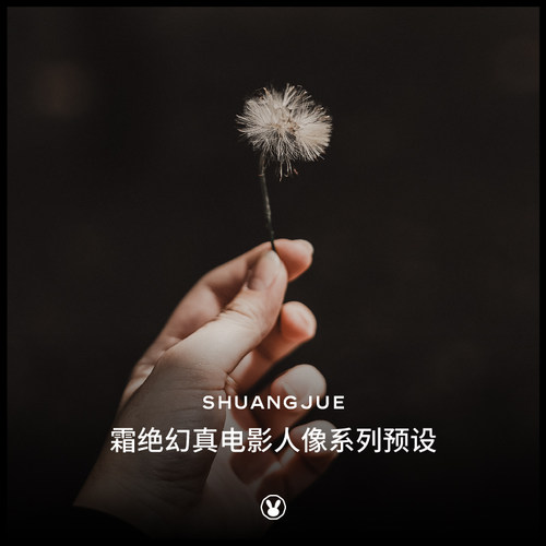 lr预设霜绝2019幻真复古胶片人像手机lightroom调色acr滤镜合集ps - 图1