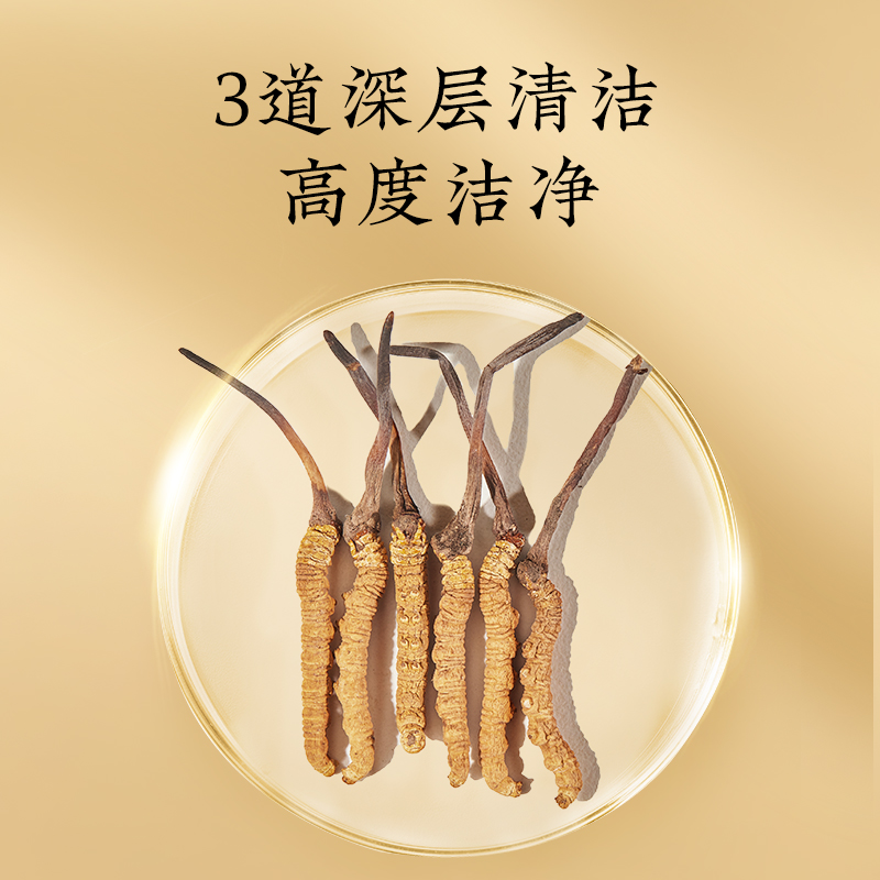 北京同仁堂冬虫夏草50/10g虫草礼盒官方旗舰店正品端午节送礼佳品 - 图1