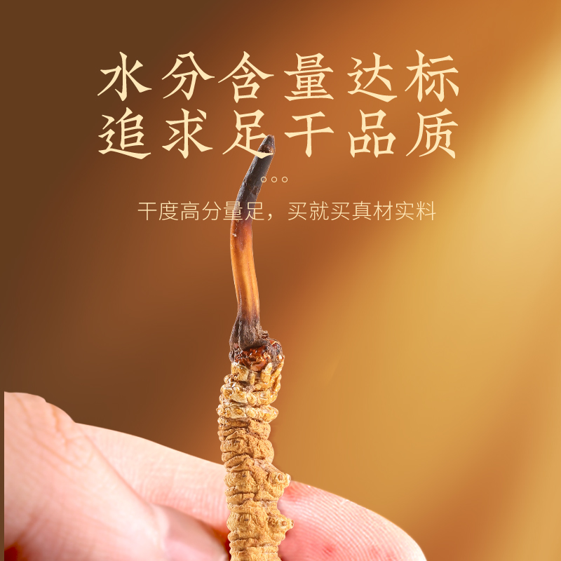 北京同仁堂冬虫夏草礼盒40/4g虫草滋补正品官方旗舰店端午礼盒