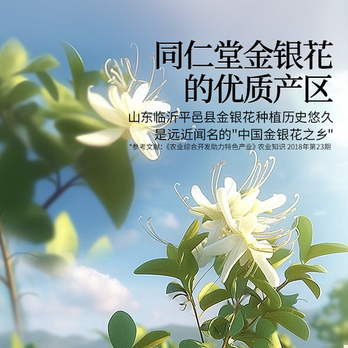 【正宗同仁堂品牌】北京同仁堂金银花茶泡茶养生茶官方旗舰店正品 - 图3