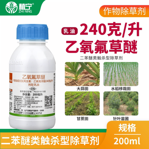 果尔240克/升乙氧氟草醚水稻田大蒜田甘蔗田一年生杂草农药除草剂 - 图0