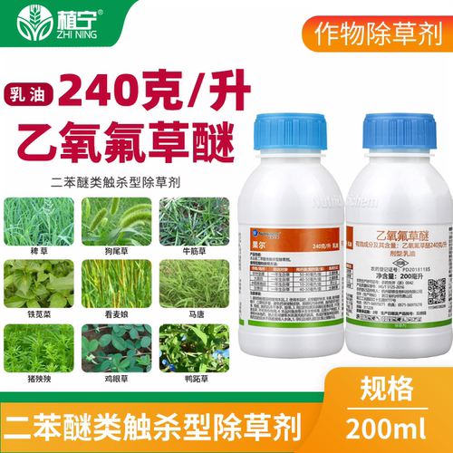 果尔240克/升乙氧氟草醚水稻田大蒜田甘蔗田一年生杂草农药除草剂 - 图2