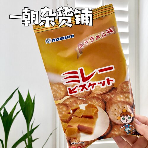 包邮现货日本本土野村饼干蔡文静同款小圆饼120g 5包10包优惠装 - 图1