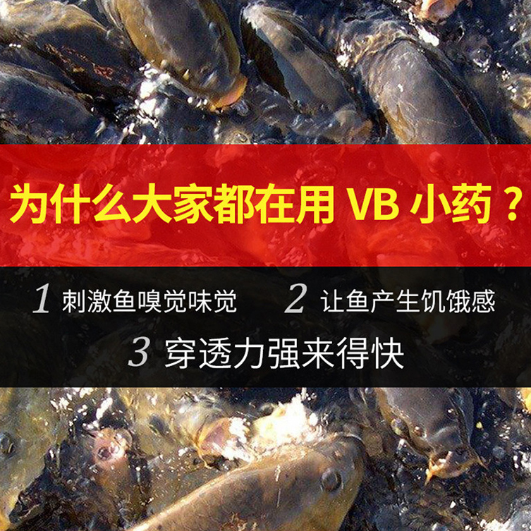 鱼浪鱼饵VB来得快鲫鲤野战王9g黑坑野钓鲫鲤饵料小药泡酒米添加剂 - 图2