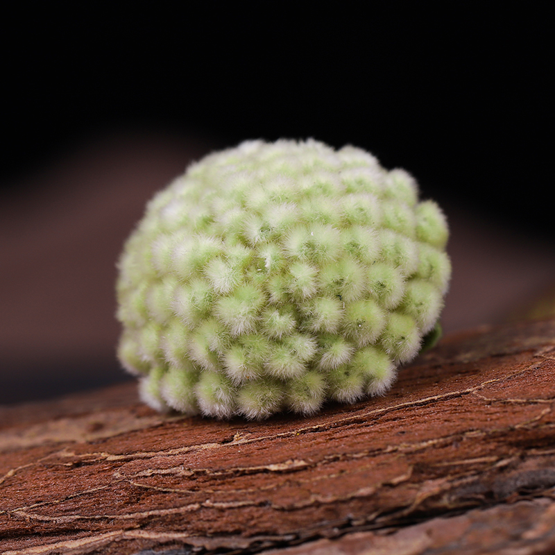 绿萝花绿罗花500g西藏正品另售特级野生苦瓜干片桑叶茶花茶花草茶 - 图2