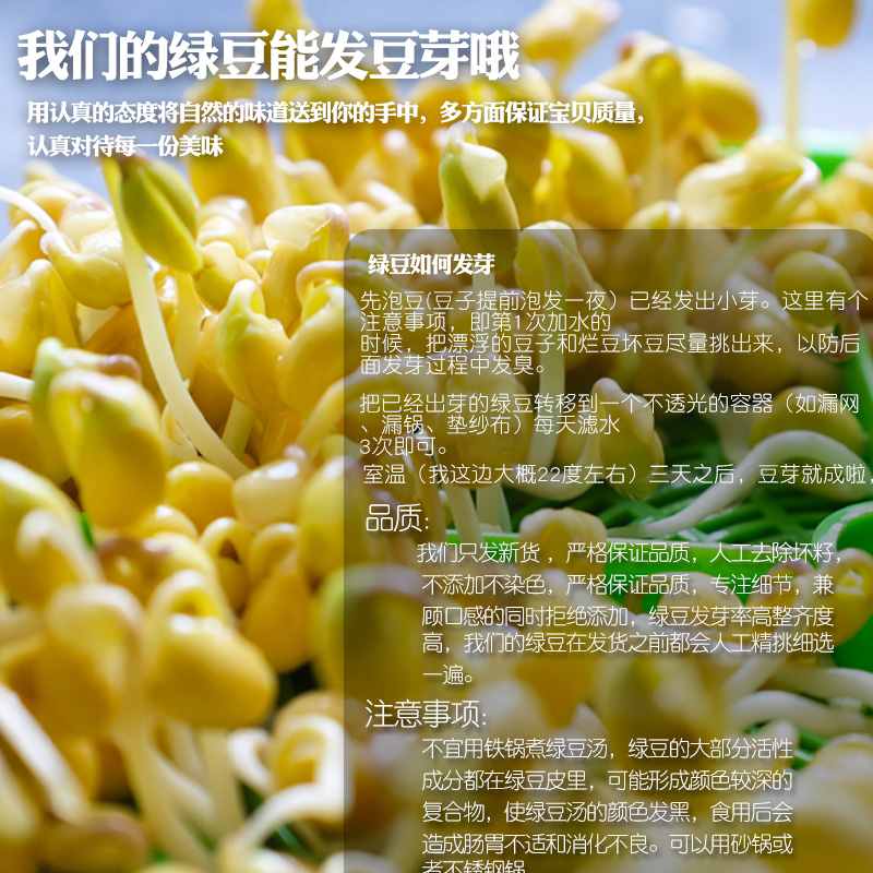 绿豆5斤 农家自产小绿豆去皮脱皮绿豆糕/饼/汤材料新鲜豆芽笨绿豆 - 图2