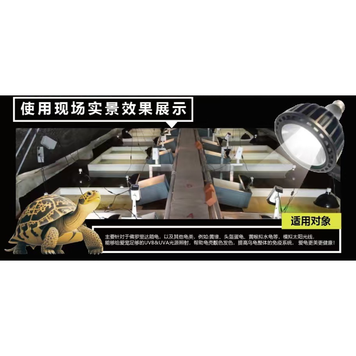 LED乌龟晒背灯全光谱太阳灯UVB灯补钙爬宠蜥蜴防水照龟缸灯泡uva,淘宝优惠券,粉丝福利购,淘宝优惠卷