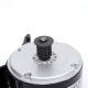 Antelope Little Dolphin ລົດໄຟຟ້າ 24v300w