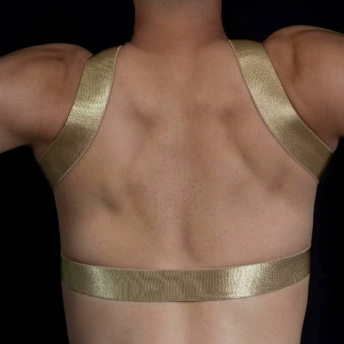 Бретели, сексуальный нагрудный ремень, портупея