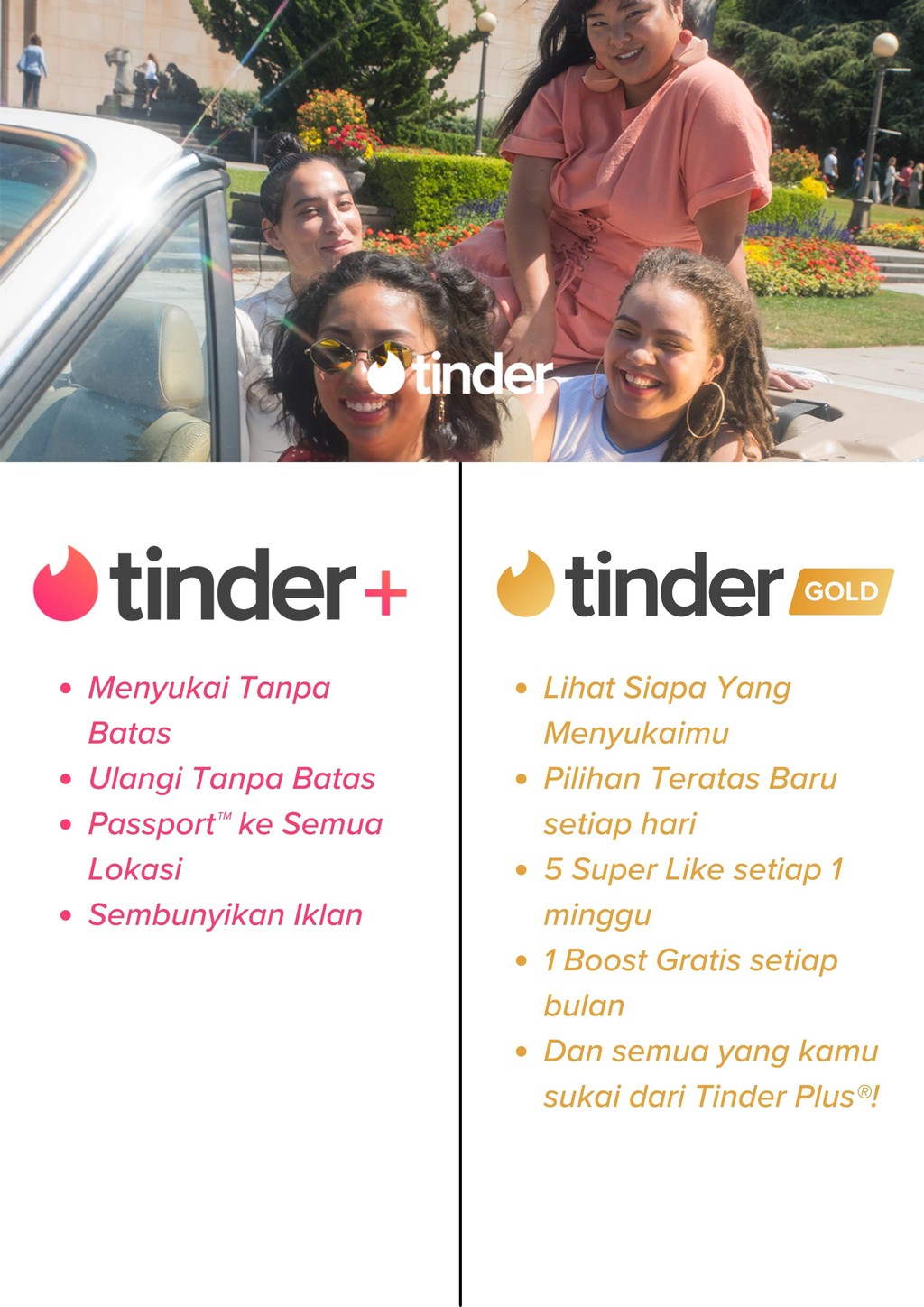 【限时半价】Tinder Gold火种网黄金会员1个月充值促销代充码 - 图0