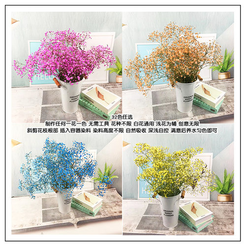 可立彩鲜花染色剂 七夕玫瑰满天星菊花郁金香通用吸色剂 花店染料 - 图2