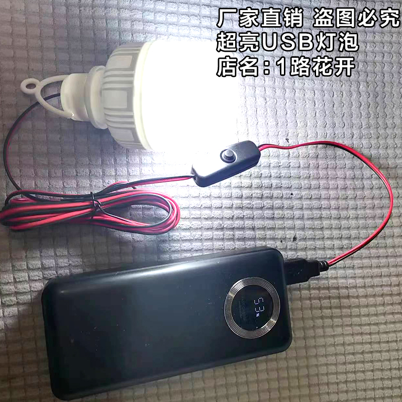 usb灯led节能灯野营户外应急强光移动电源充电宝5v灯泡带开关5w7W - 图0