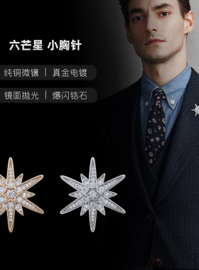 六芒星胸针男女高级感轻奢领针