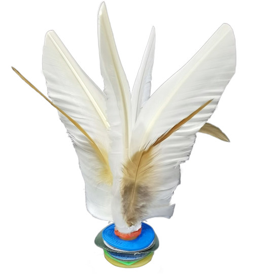 东方燕大白毽比赛专用成人健身儿童小学生踢腱子羽毛运动鸡毛毽子