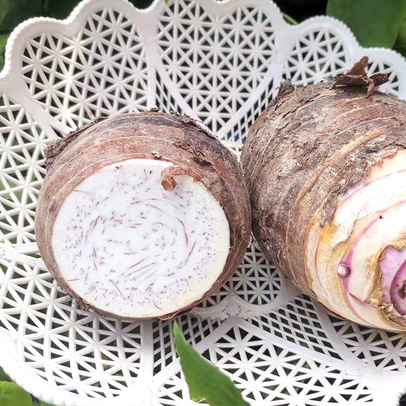 广西荔浦槟榔芋香芋削皮新鲜芋头农产品蔬菜芋圆芋泥烘焙甜品奶茶 - 图2