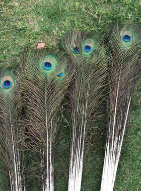 孔雀翎羽毛真毛diy材料装饰插瓶插花摆件家居桌面摆设供佛孔雀毛